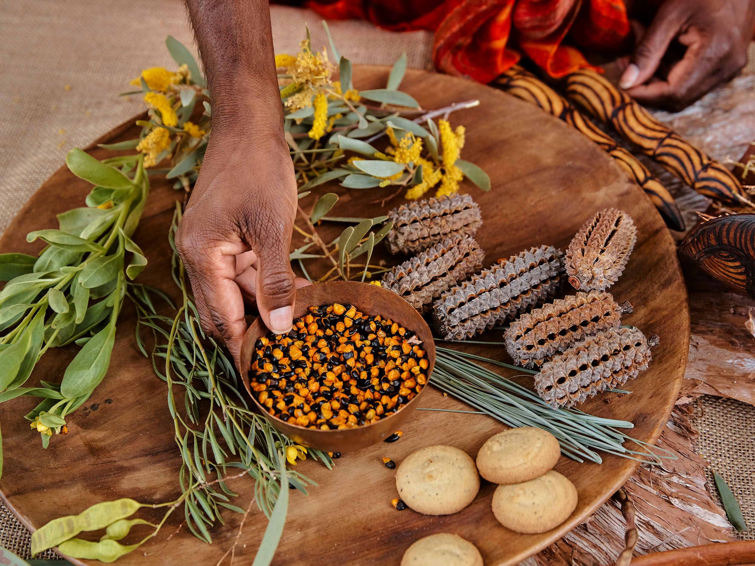 traditional bush tucker