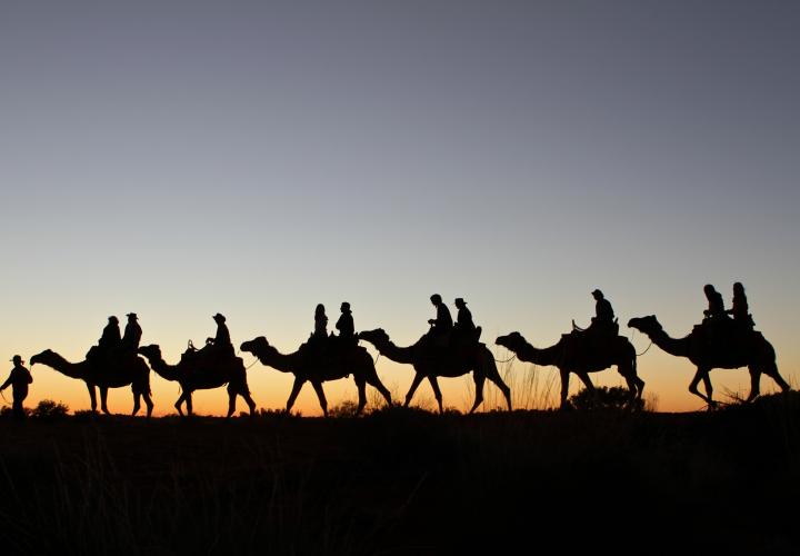 A silhouette of people riding camels at sunset | Uluru Australia | Uluru Rockies | Mossmangor Indigenous Tourism