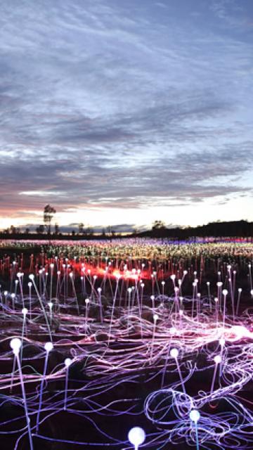 Field of Light