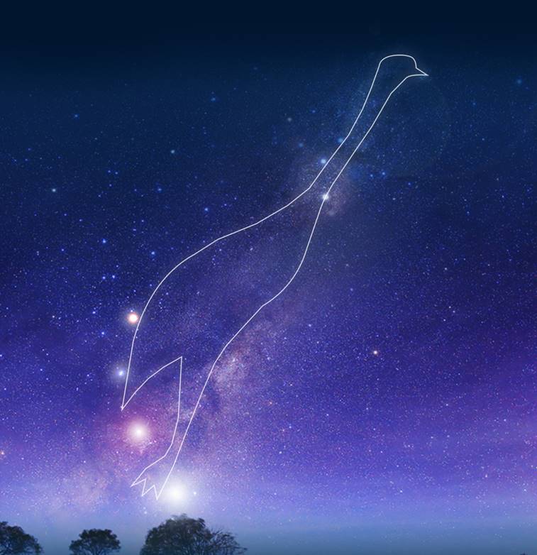 Emu in the Sky constellation