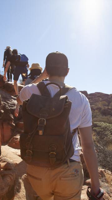 Kings Canyon & Outback Panoramas