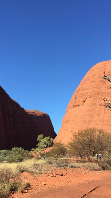 The Australian outback