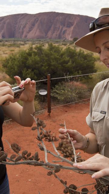 Woman taking a photo of plant being held by tour guide