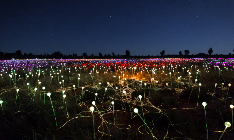 Field of Light