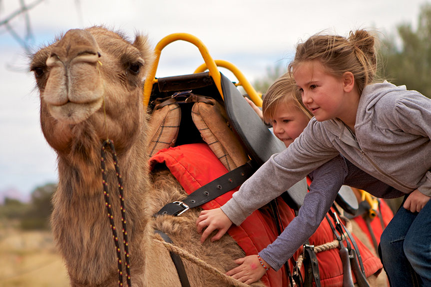 camel and kids