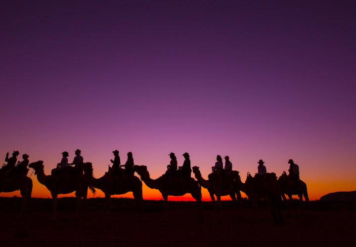 camel silhouettes