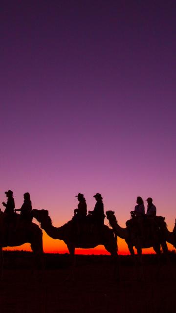 camel silhouettes