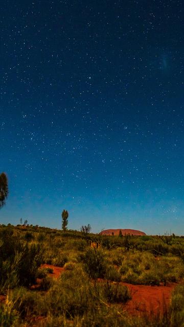 stars at night