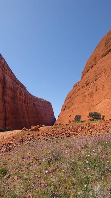 Uluru Sunrise & Kata Tjuta